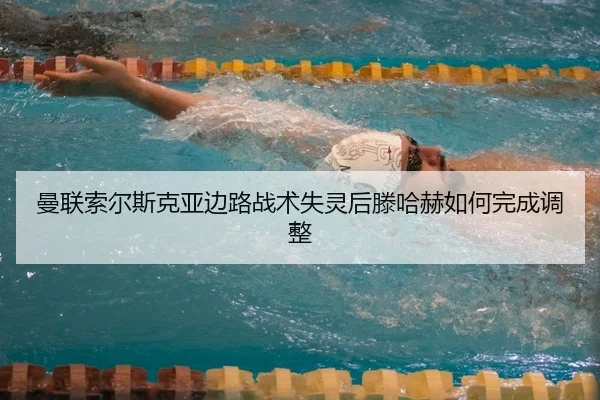 man-lian-suo-er-si-ke-ya-bian-lu-zhan-shu-shi-ling-hou-teng-ha-he-ru-he-wan-cheng-tiao-zheng-1-743.jpg